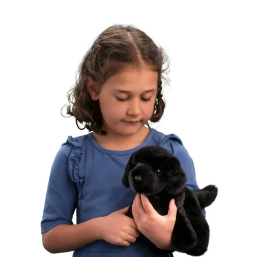 Bear Black Lab - Plush Doll Toy