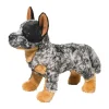 Bolt Australian Cattle Dog
