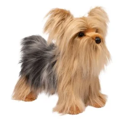 Brenton Yorkie