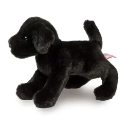 Brewster Black Lab