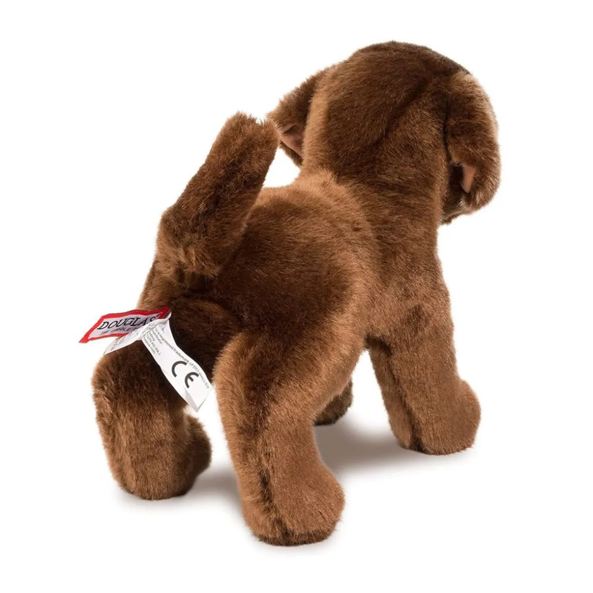 C.C. Bean Chocolate Lab