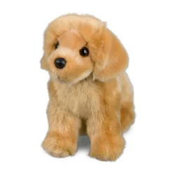 Chap Golden Retriever