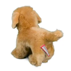 Chap Golden Retriever