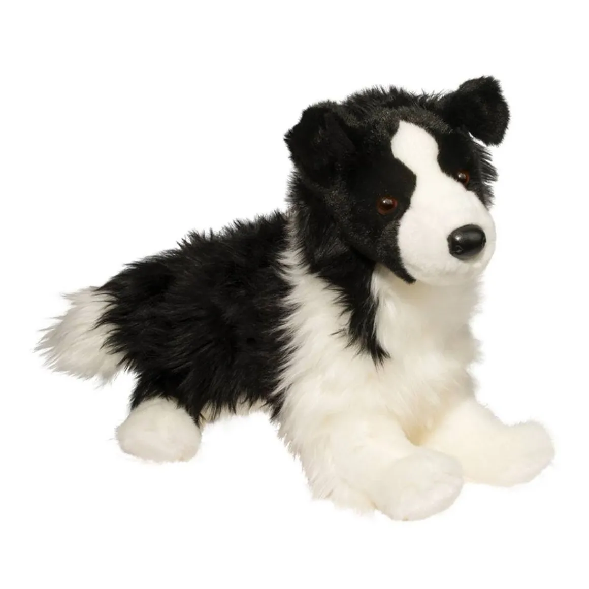 Chase Border Collie