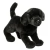 Chester Black Lab