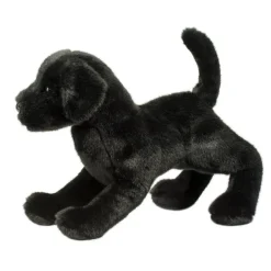 Chester Black Lab