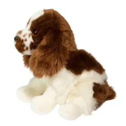 Chip Springer Spaniel