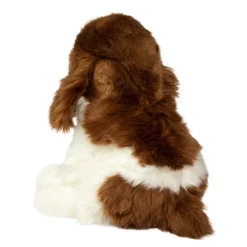 Chip Springer Spaniel