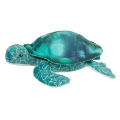 Coast Green Friends Sea Turtle