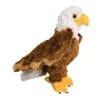 Colbert Eagle
