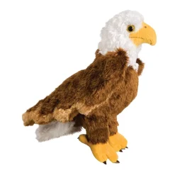 Colbert Eagle