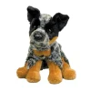 Dexter Australian Cattle Dog