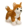 Dunham Shiba Inu