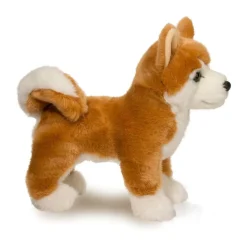 Dunham Shiba Inu