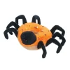 Halloween Spider Donut