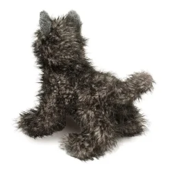 Hazel Cairn Terrier