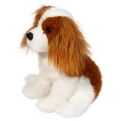 Kingsley Cavalier King Charles Spaniel