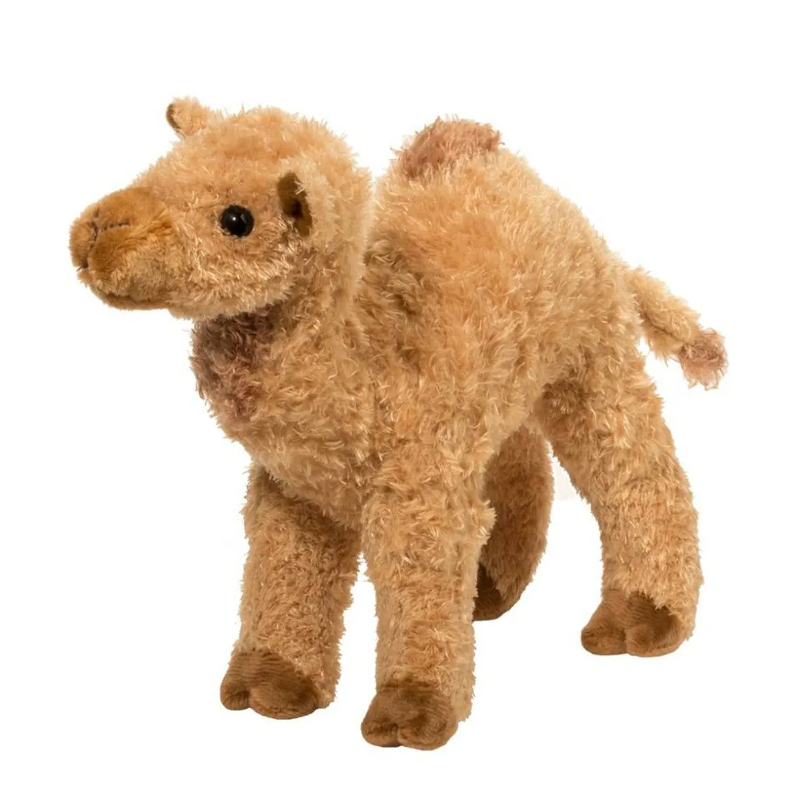Lawrence Camel