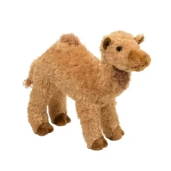 Lawrence Camel