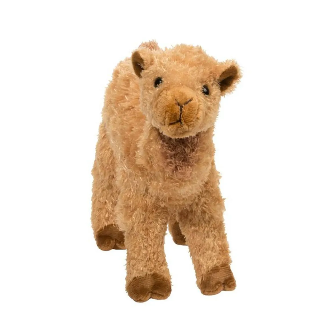 Lawrence Camel