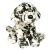 Mackay Dalmatian