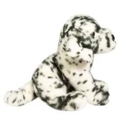 Mackay Dalmatian