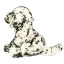 Mackay Dalmatian
