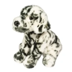 Mackay Dalmatian