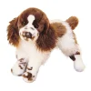 Ogilvy Springer Spaniel