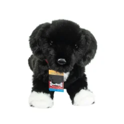 Olive Black Lab / Pit Bull Mix Rescue Pup