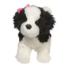 Poofy Black & White Shih-Tzu