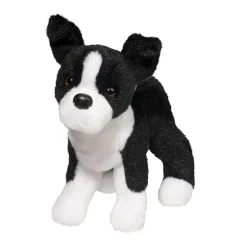 Quincy Boston Terrier