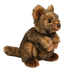 Quinn Quokka