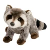 Ringo Raccoon
