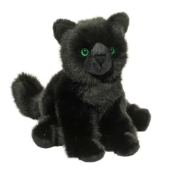 Salem Black Cat