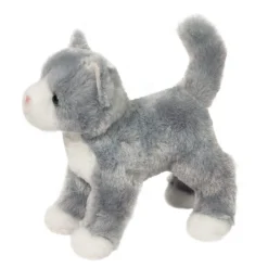 Scatter Gray Cat