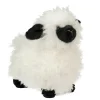 Shiloh Sheep