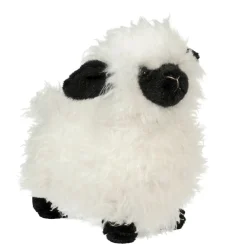 Shiloh Sheep