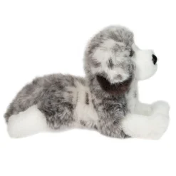 Skylar Australian Shepherd