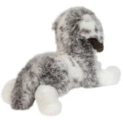 Skylar Australian Shepherd