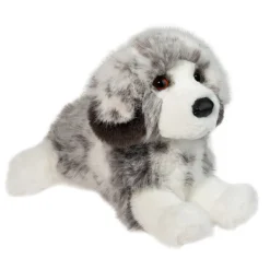 Skylar Australian Shepherd