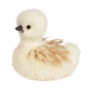 Tara Silkie Chick, Large