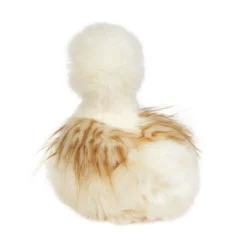 Tara Silkie Chick, Large