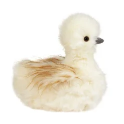 Tara Silkie Chick, Large