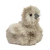 Zara Gray Silkie Chick