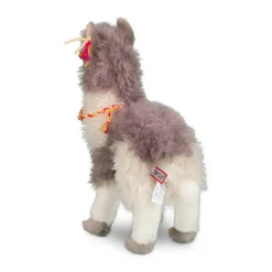 Zephyr Llama